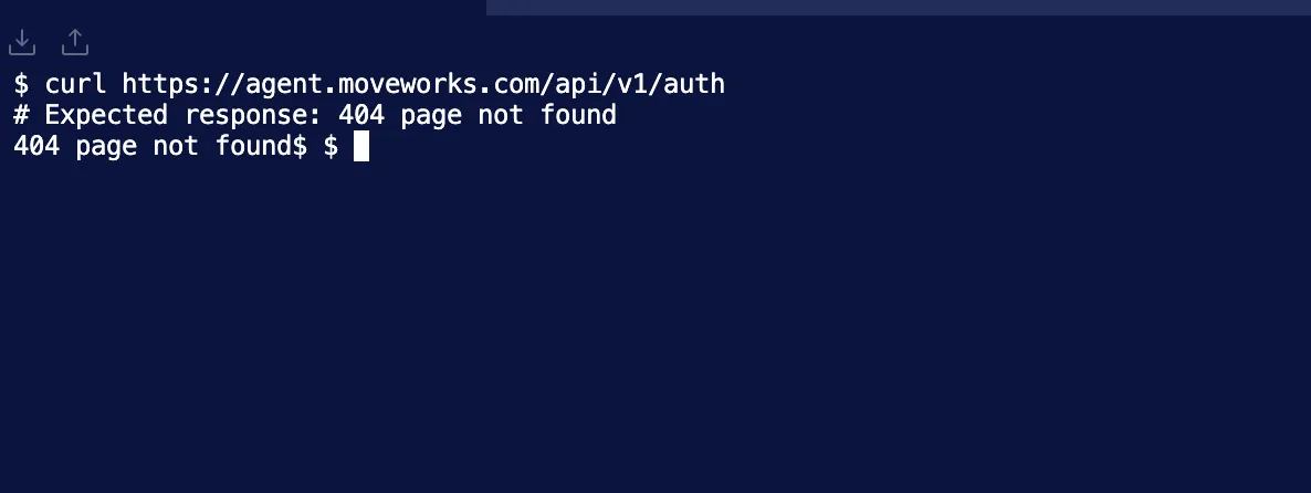 Connectivity check returning the expected 404 response